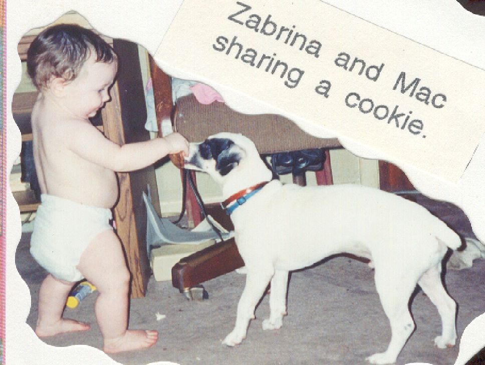 sharingcookies.jpg